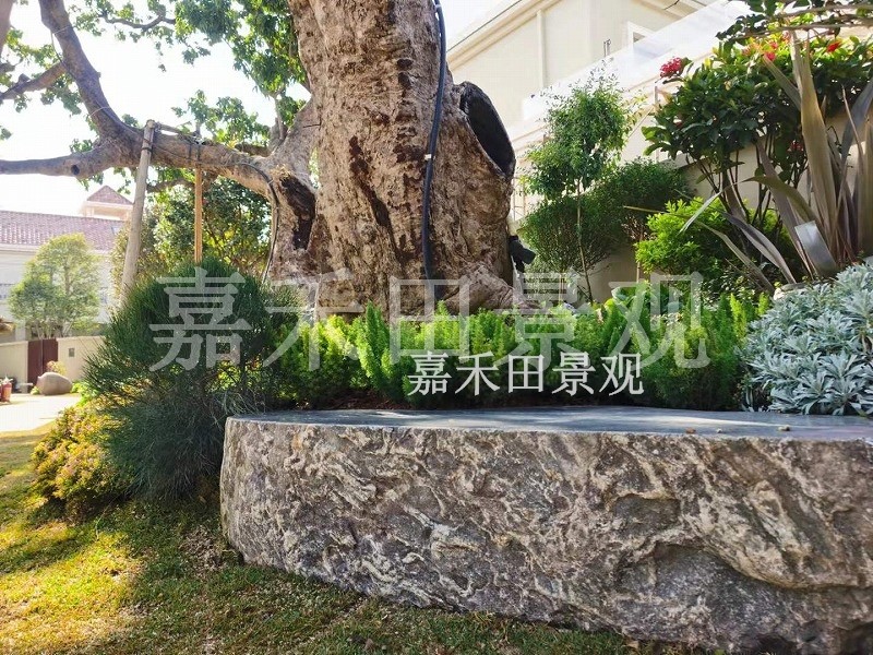 樹木在園林景觀設計中有哪些作用？