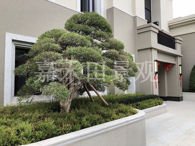 別墅景觀設(shè)計(jì)綠化環(huán)境分為哪幾部分？